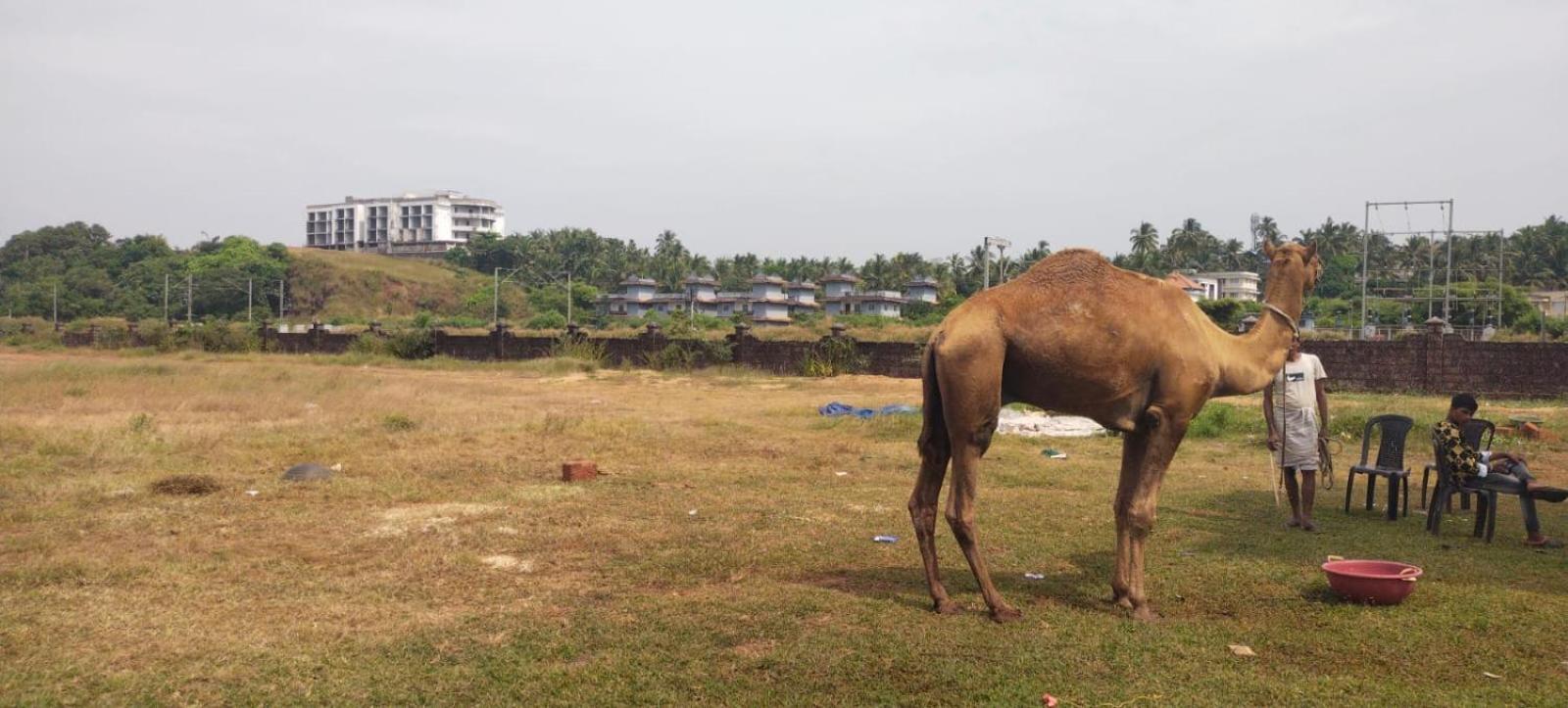Bekal Fort Beach Resorts Bekal Town Esterno foto