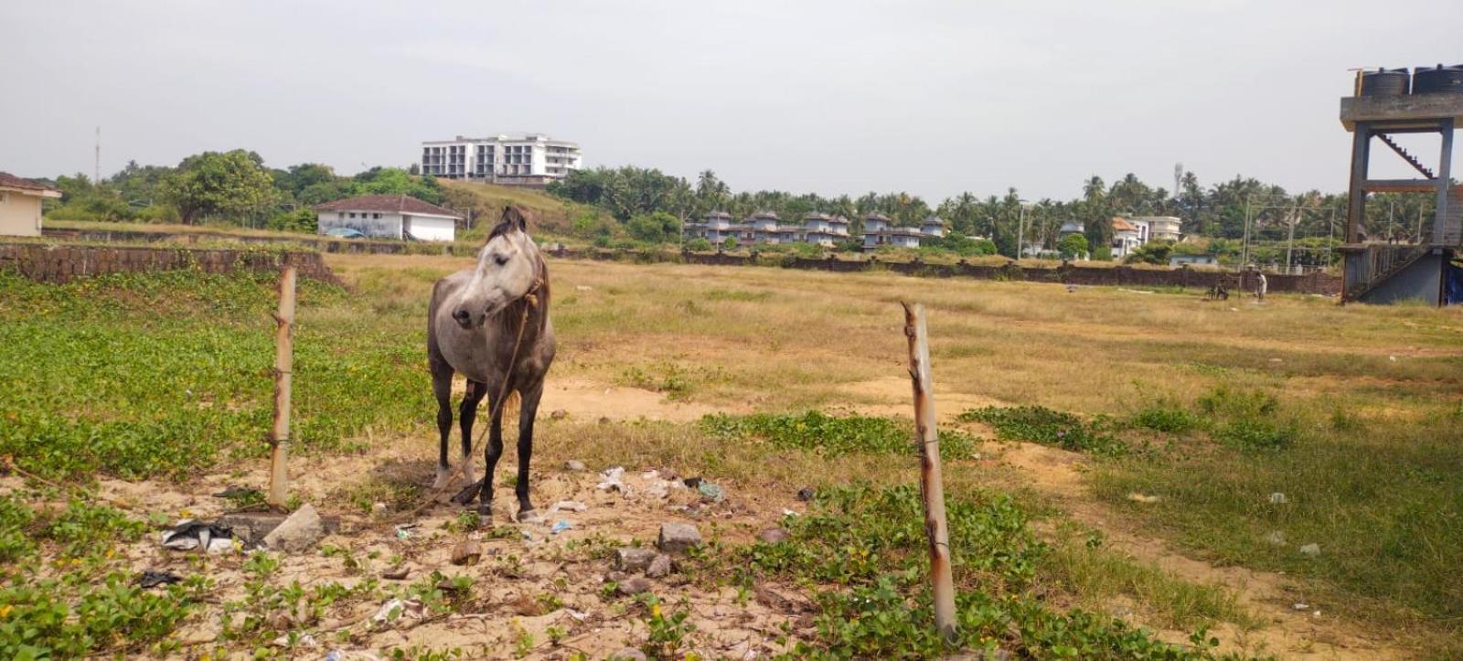 Bekal Fort Beach Resorts Bekal Town Esterno foto